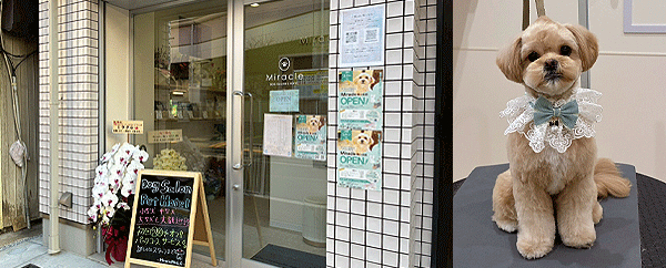 miracle梅ヶ丘店